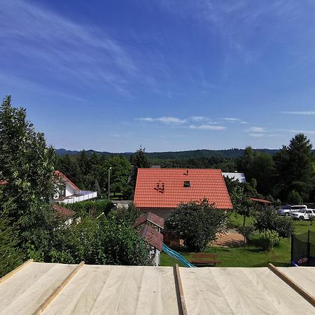Bieszczadzki Hals - Dom Blizniak Apartment Polańczyk Cameră foto